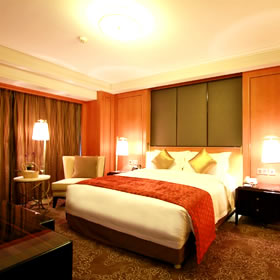 ����������Է��������ͷ�����