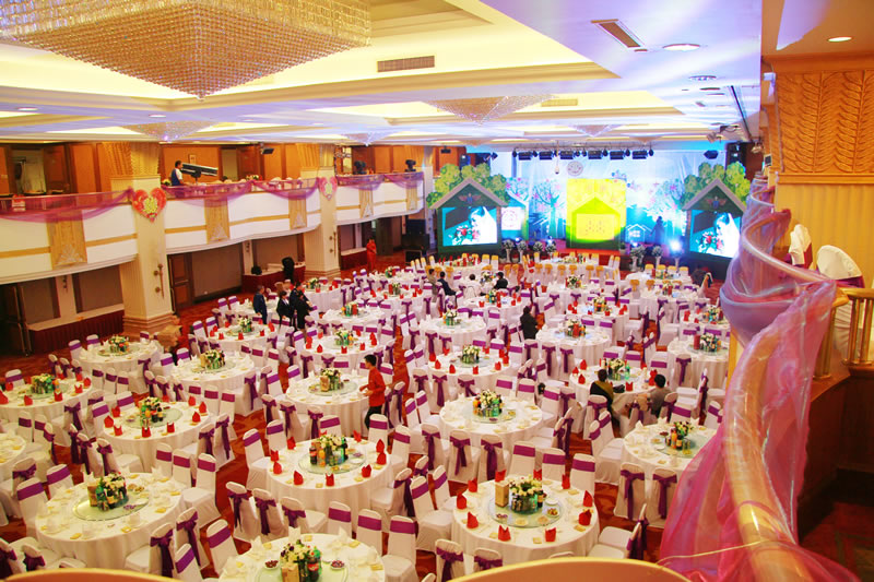 ��ʽ����